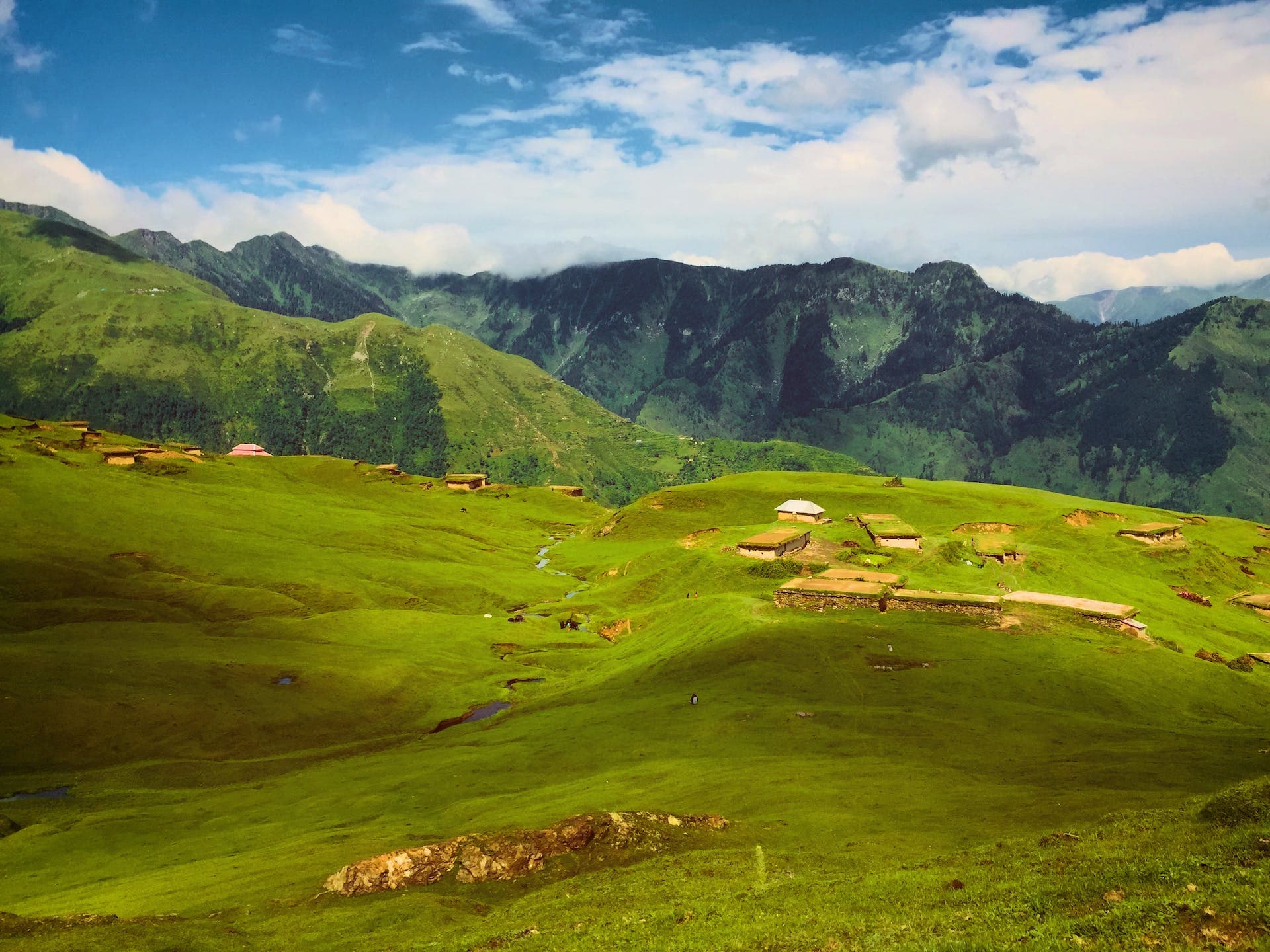 Kashmir